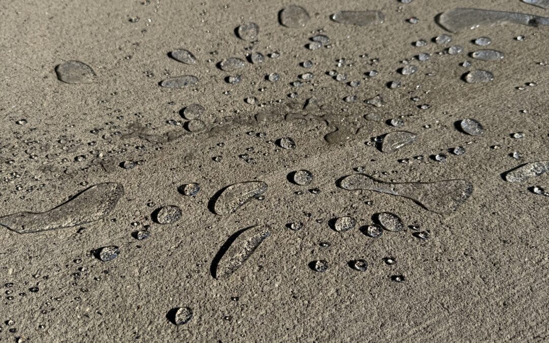 Why Your Chilhowie Virginia Church Needs Concrete Sealing