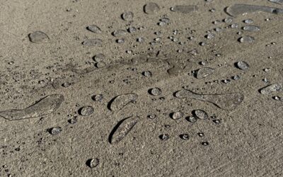 Why Your Chilhowie Virginia Church Needs Concrete Sealing